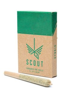 Scout Pre-Roll Pack - 0.5g