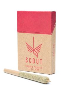 Scout Pre-Roll Pack - 0.5g