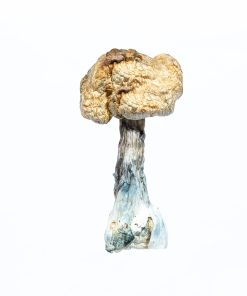 2 Oz Magic Mushrooms - Mix and Match